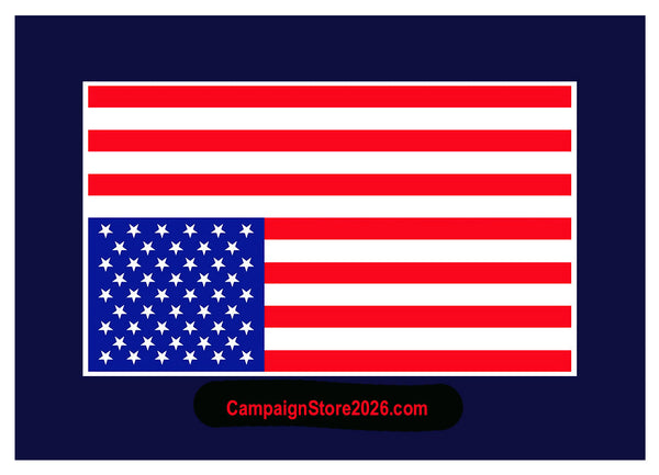 America In Distress Pin