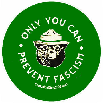 Only You Can Prevent Fascism Pin
