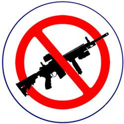 No Assault Rifles Pin