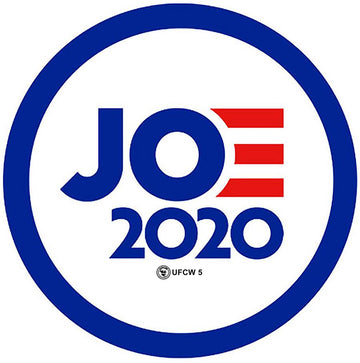 Joe 2020 Pin