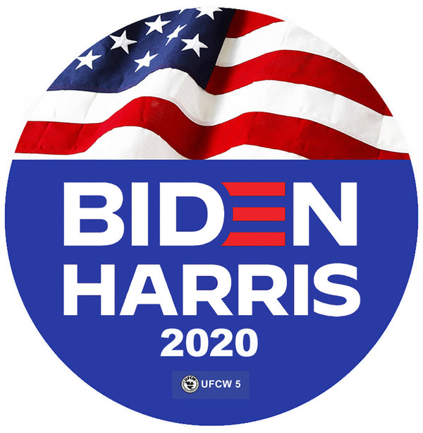 Biden Harris for America Pin