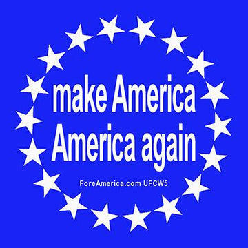 Make America America Again Magnet