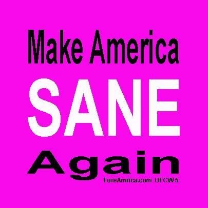 Make America Sane Again Magnet